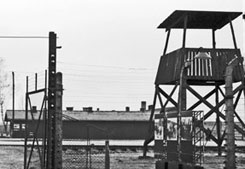 Krakau - Auschwitz - Birkenau. Gedenkstättenfahrt